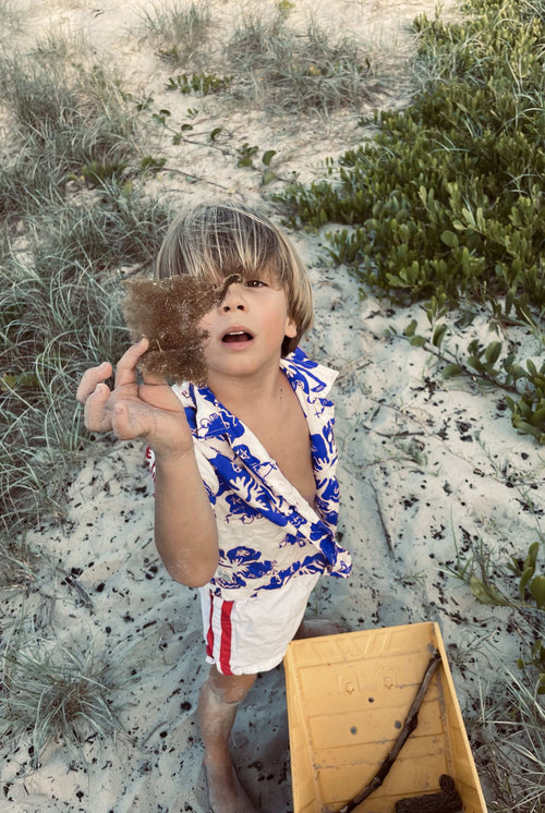ALOHA SHIRT / BLUE - youngandrestlesskids 